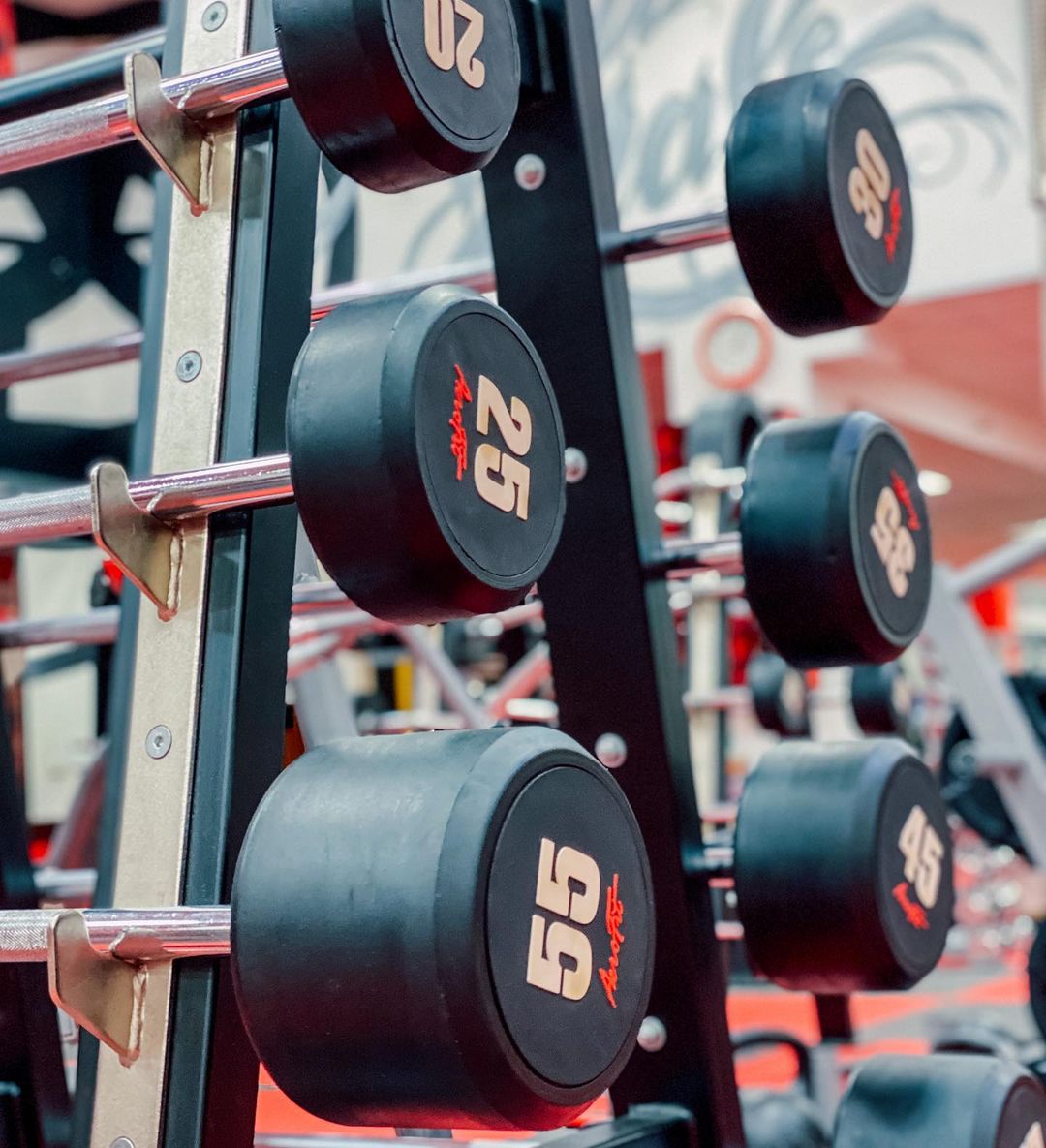Тренажерный зал «Alpha Male Gym»