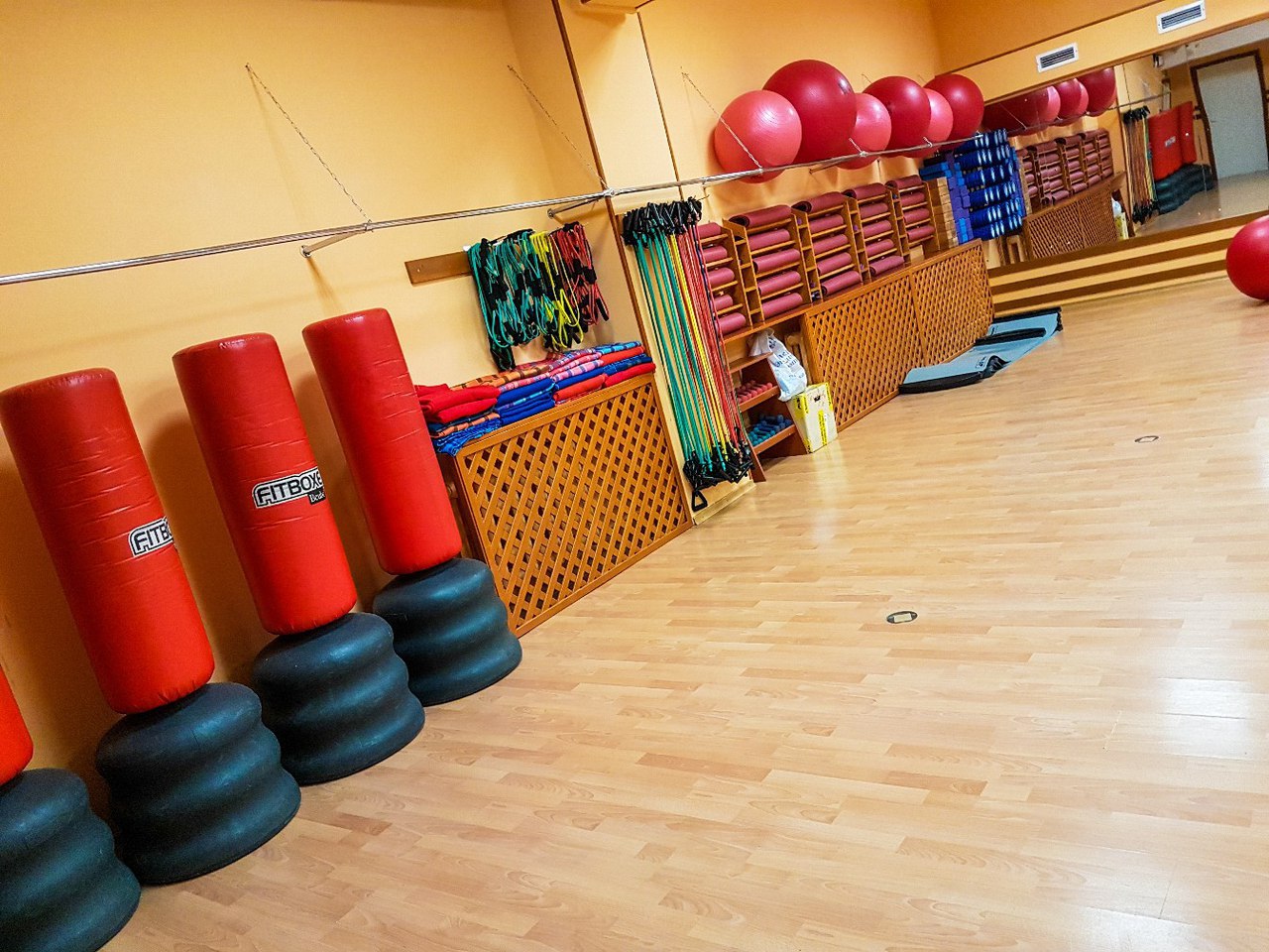 FitnessPro