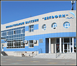 Лого Плавательный бассейн «Дельфин»