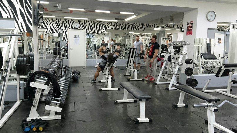 FitnessPro