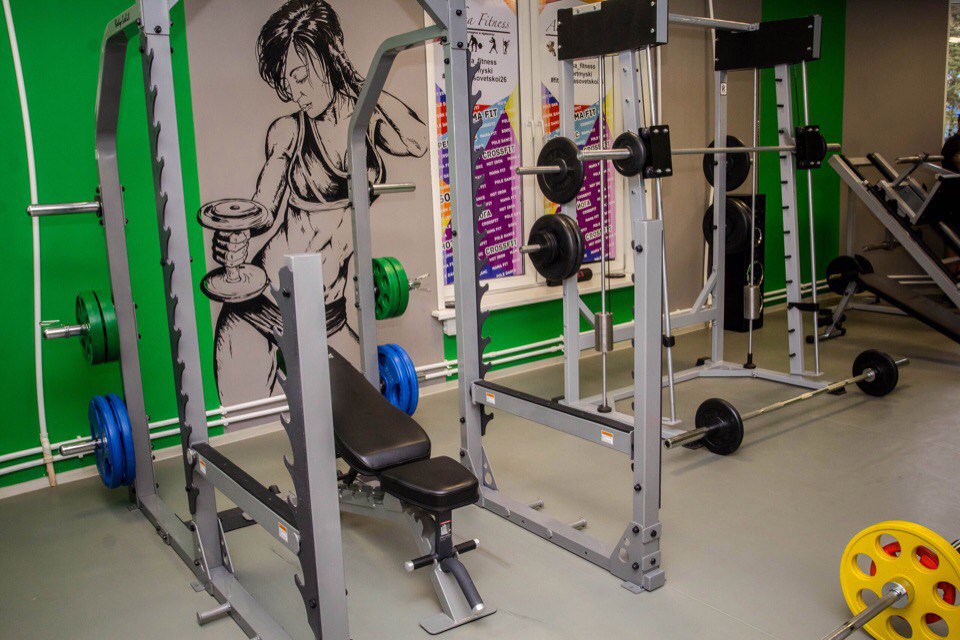 Фитнес-студия «Aleksa Fitness»