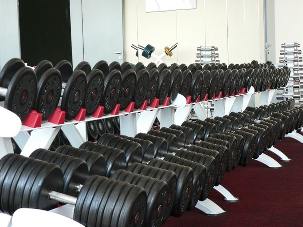FitnessPro