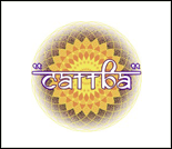 Лого Центр развития личности «Саттва»