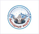 Лого Спортивный клуб «Янтарные моржи»
