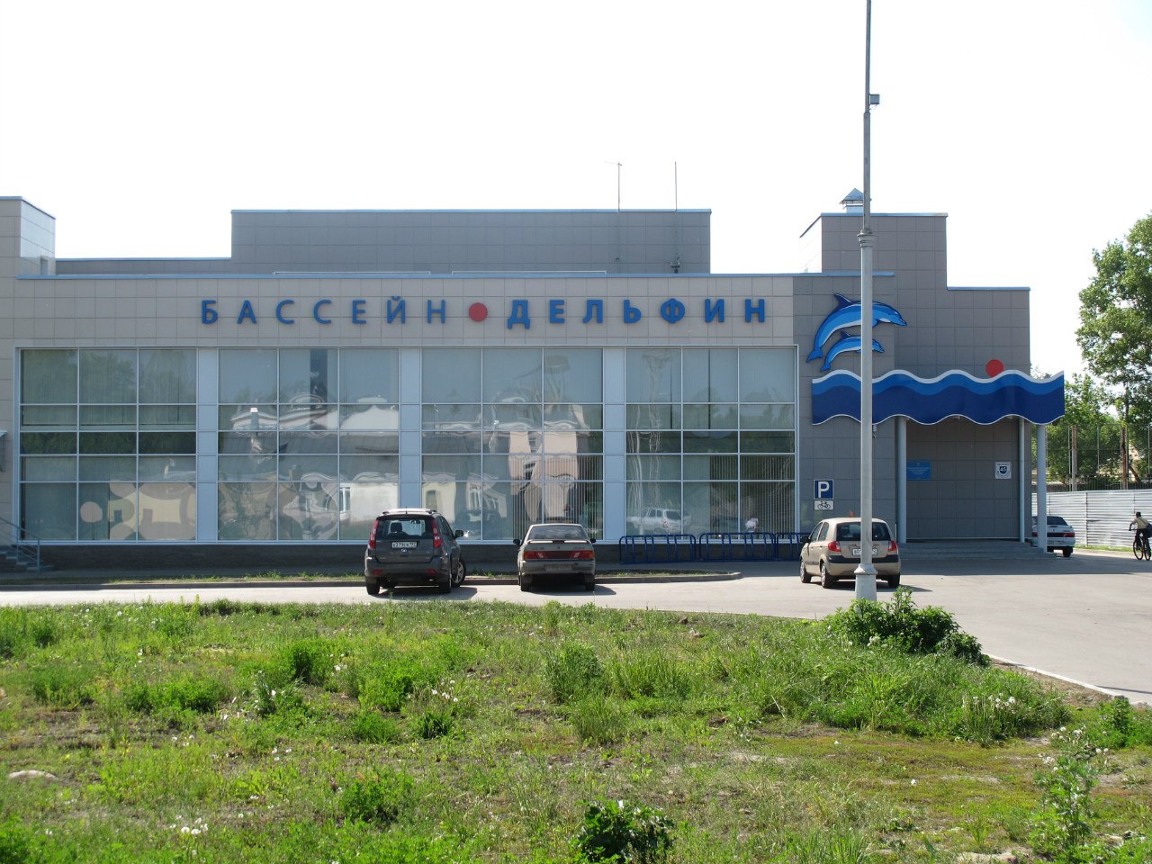 Плавательный бассейн «Дельфин»
