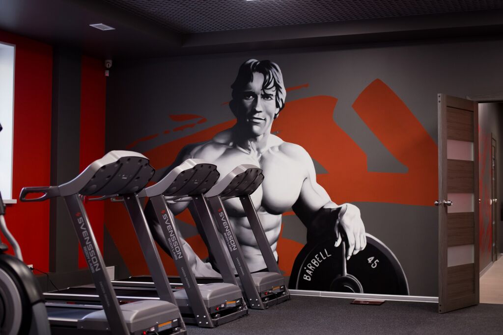 Тренажерный зал «IronArni GYM»