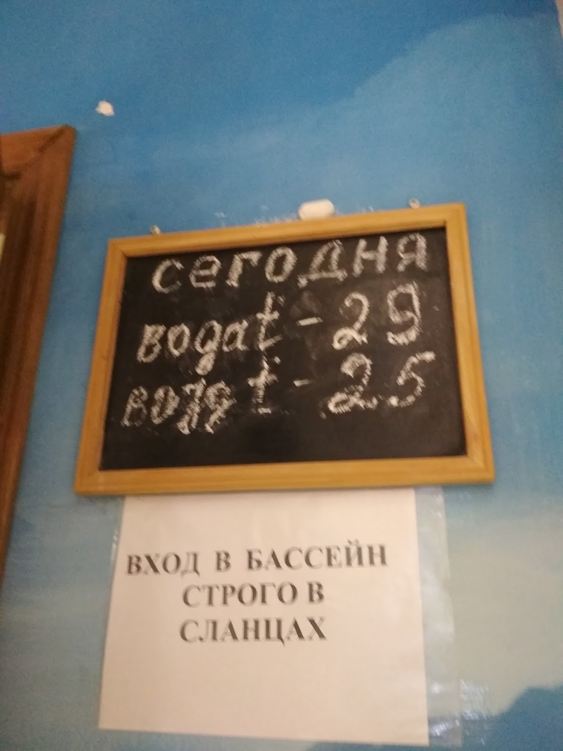 Плавательный бассейн «Дельфин»