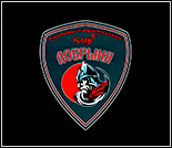 Лого Спортивно-патриотический клуб «Добрыня»