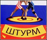 Лого Центр единоборств «Штурм»